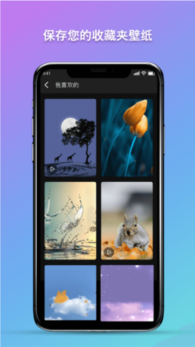 秀秀壁纸3D动态壁纸手机版图2