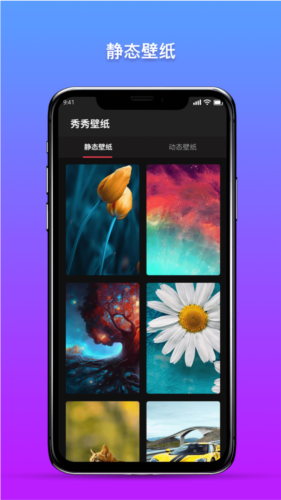 秀秀壁纸3D动态壁纸手机版图3