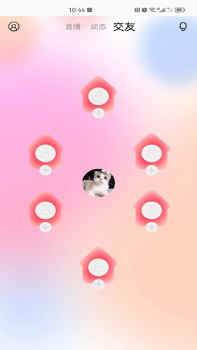 百花直播免费原版图3