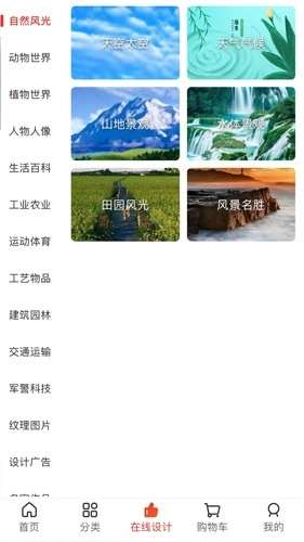 图王网最新版图2