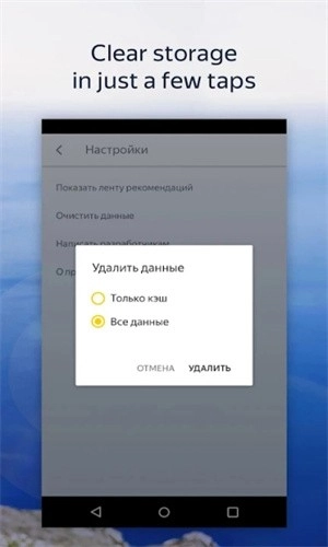 Browser Beta 通用版图3