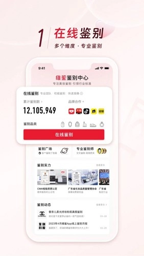 SNAKE鉴别无广告版图3