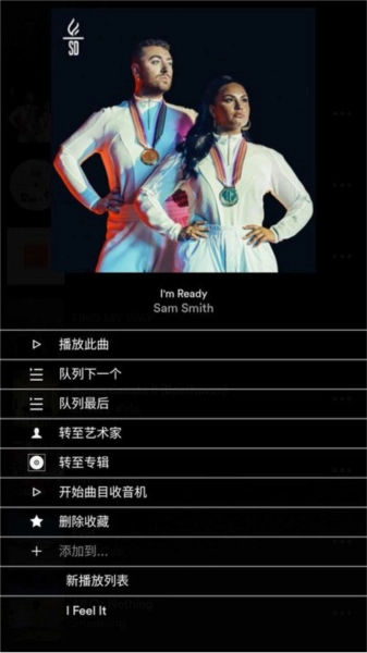 focal naim 直装版图3