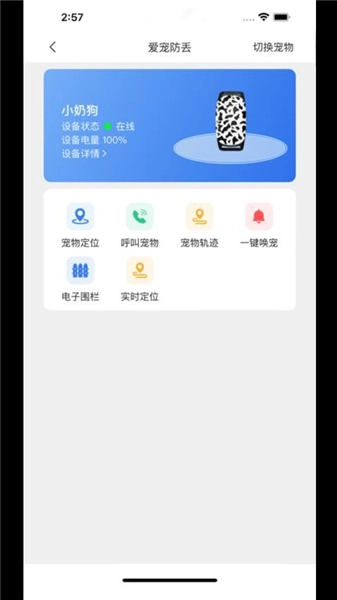 云小宠官方最新版图3