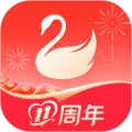天鹅到家