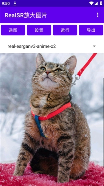 RealSR图片放大图3