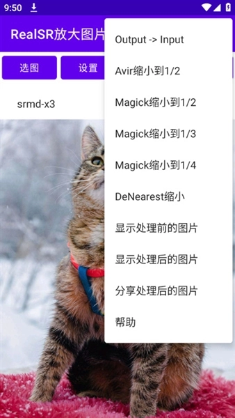 RealSR图片放大图5