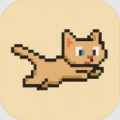 Miao屋手机最新版