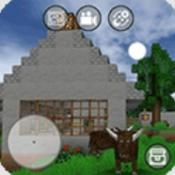 迷你块工艺手游直装版