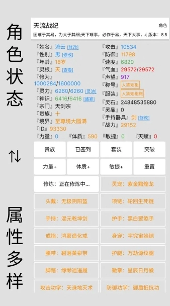 天流战纪手游无广告版