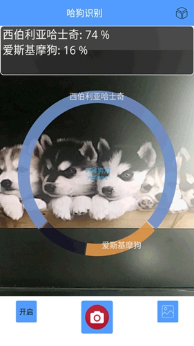 哈狗识别无广告版图3