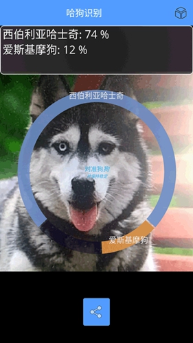 哈狗识别无广告版图4