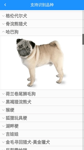哈狗识别无广告版图2