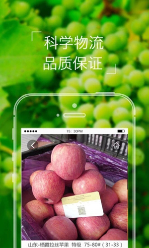 本来果坊官方最新版图4