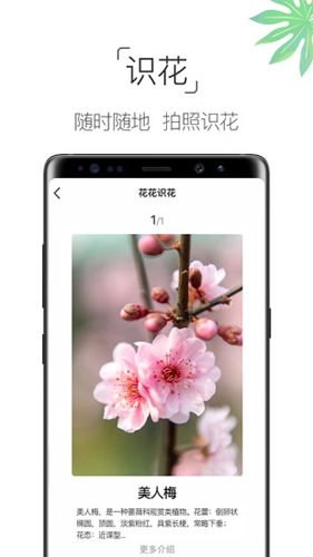 养花大全安卓官方版图1