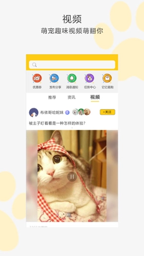 我爱它它安卓免费版图4