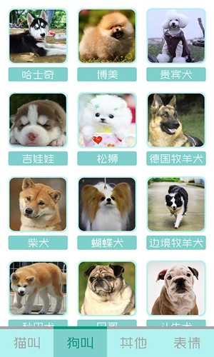 猫叫声狗叫声模拟器最新免费版图1