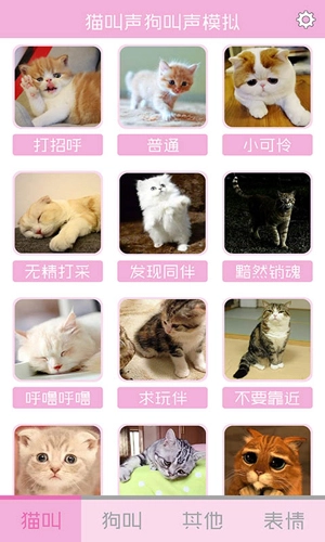 猫叫声狗叫声模拟器最新免费版图5