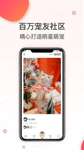相宠手机免费版图2