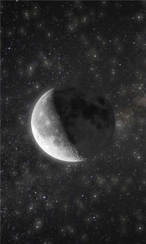 Moon中文客户端手机免费版图1