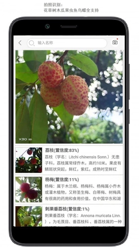 行色识花最新版图2