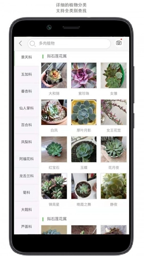 行色识花最新版图3