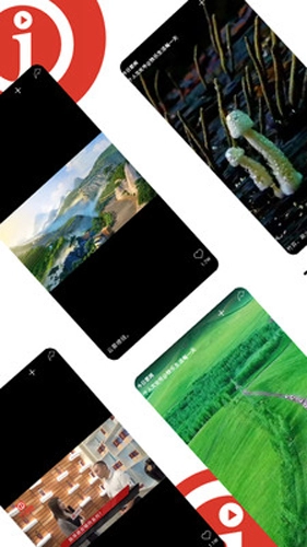 英明双赢原版图3