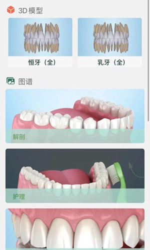 口腔图谱直装版图1