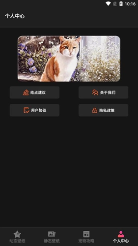 喵喵之家原版图3