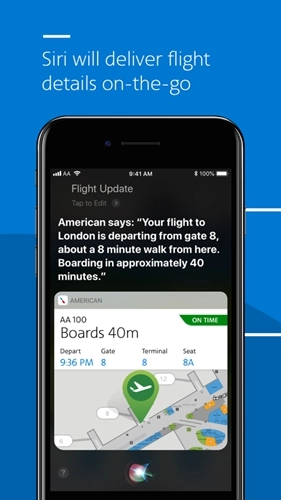 american airlines 正版图3