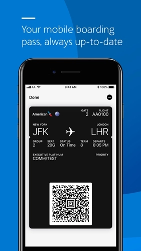 american airlines 正版图5