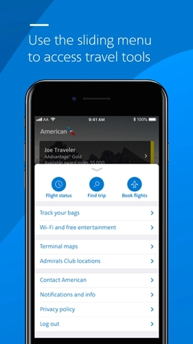 american airlines 正版图7