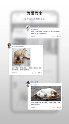 小它宠物安卓直装版图1
