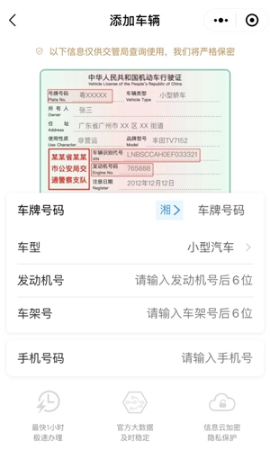 123123违章查询平台(3)