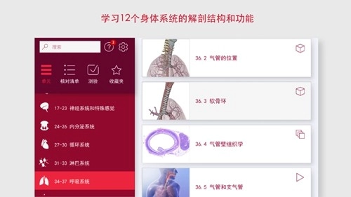 解剖和生理学图1