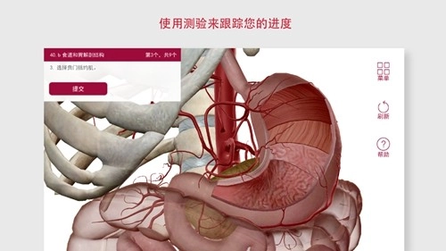 解剖和生理学图5