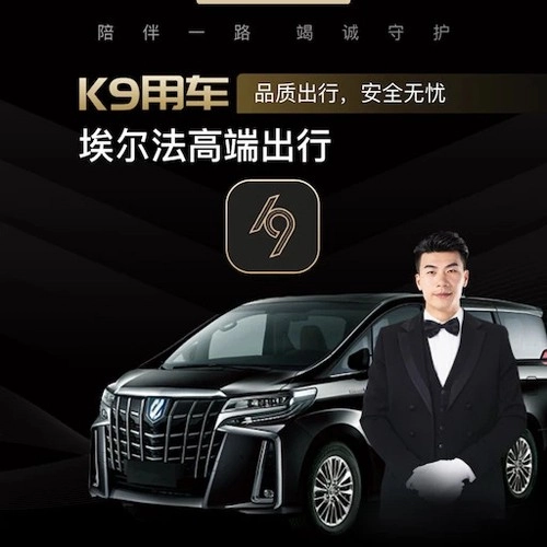 K9用车原版图3