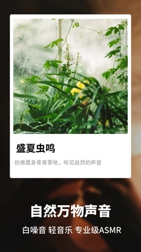 睡眠监测管家手机正版图2