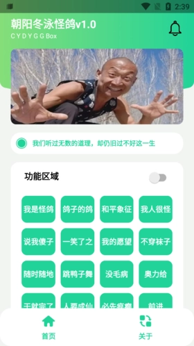 冬泳怪鸽盒原版图2