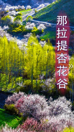 新源好地方最新版手机下载