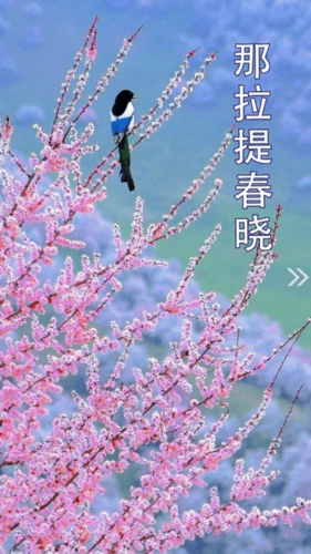 新源好地方最新版手机下载