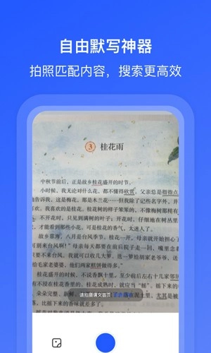 刺猬默写安卓版图4