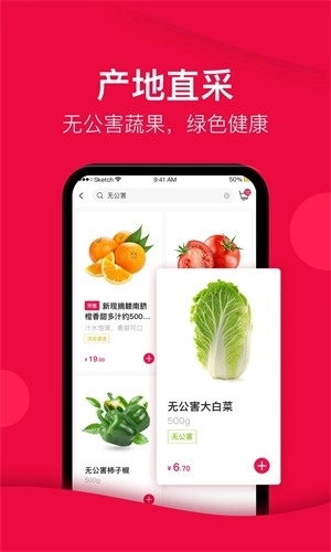 大美买菜官方最新版图1