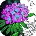乐涂填色官方版