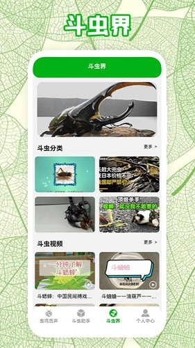 疯狂蛐蛐儿原版图1