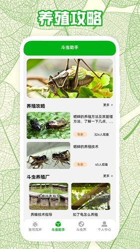 疯狂蛐蛐儿原版图2