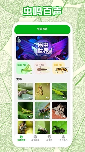 疯狂蛐蛐儿原版图3