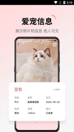 多仔宠物原版图2