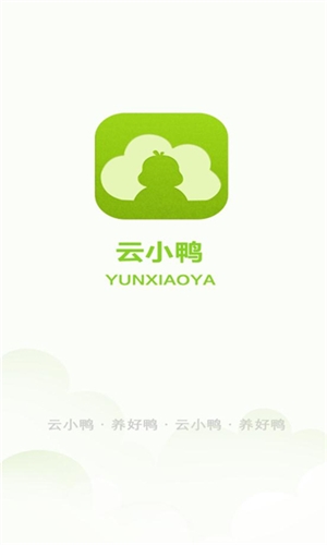 云小鸭原版图1