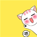 猫语翻译官最新版